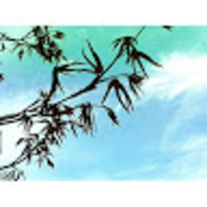 Meet your Posher, Bridget